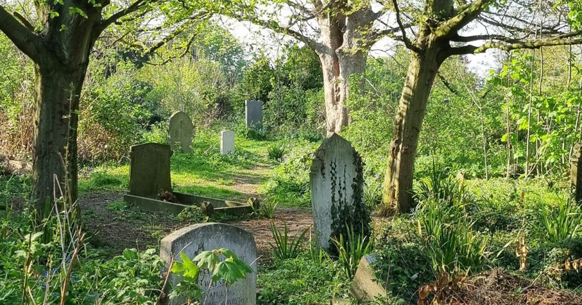 Friends Of Mill Road Cemetery